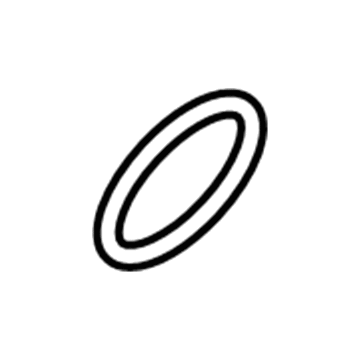GM 13265349 Inlet Tube Seal