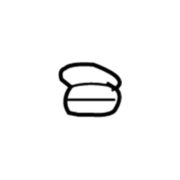 GM 11609969 Closure Panel Nut