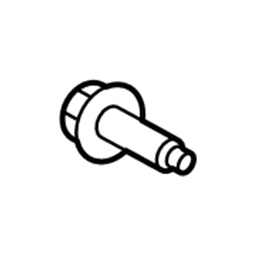 Ford -W702434-S450B Door Check Bolt