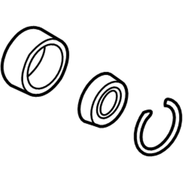 Ford 2L1Z-2C134-AA Hub Assembly Bushing Kit