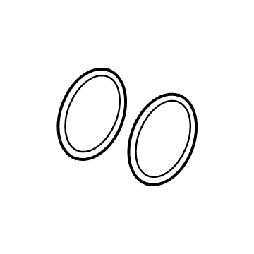 GM 23390381 Knuckle O-Ring