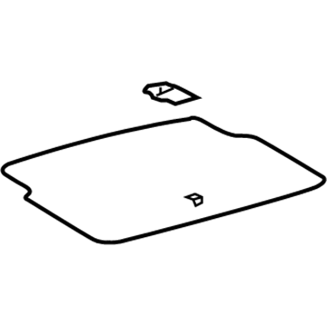Lexus 64711-30591-C0 Mat, Luggage Compartment