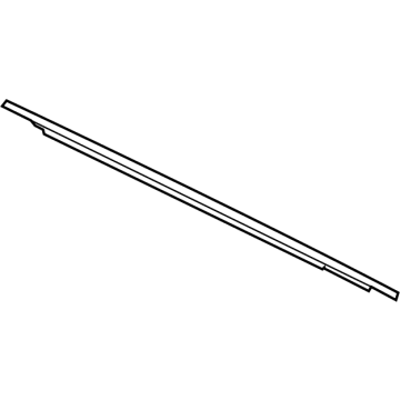 Ford DP5Z-5425860-A Belt Molding