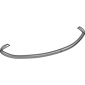 GM 84952581 WEATHERSTRIP ASM-L/GATE