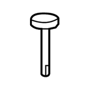 GM 26095244 Reservoir Cap