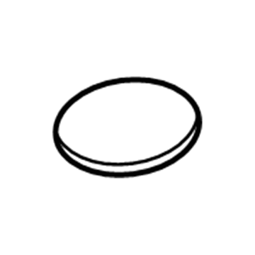 GM 96444824 Speaker Grille