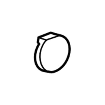GM 95015710 Door Trim Panel Cap