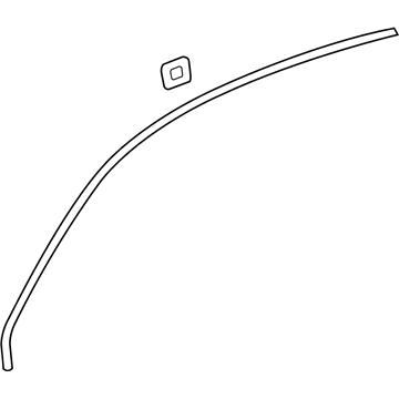 GM 20894252 Reveal Molding