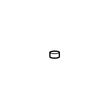 GM 25872391 Liquid Line Cap