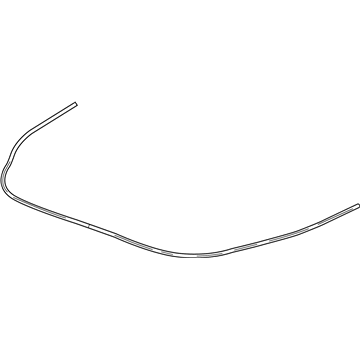 GM 9056811 Weatherstrip Asm-Hood Front