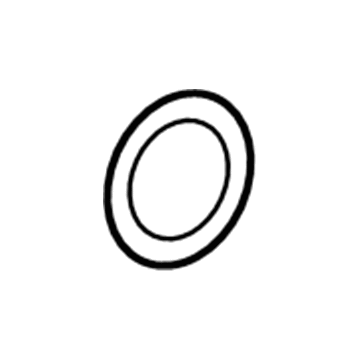 GM 13364695 Outlet Tube Seal