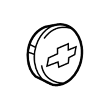 GM 22791586 Center Cap