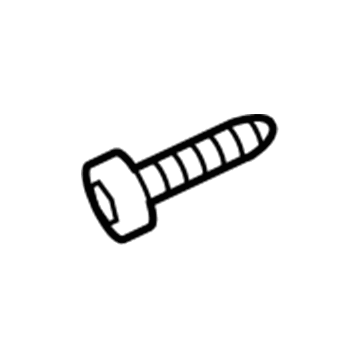 Ford -W711379-S900 Striker Screw