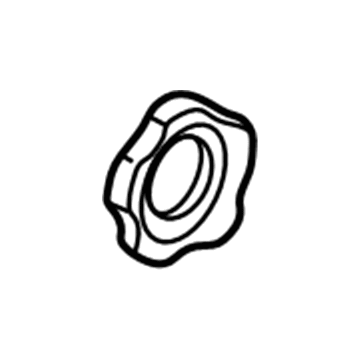 GM 16505888 Nut-Retainer