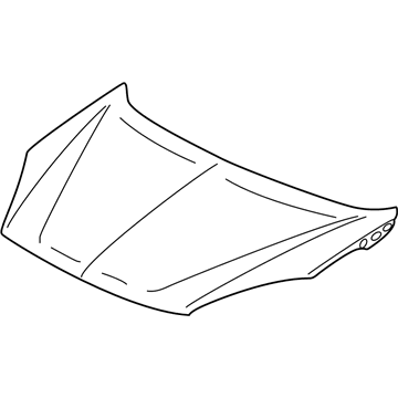 GM 10422404 Hood Asm