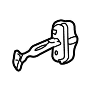 GM 25713385 Door Check