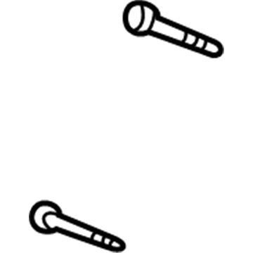 GM 11588951 Lower Hinge Bolt
