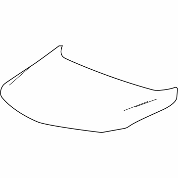 GM 42775040 HOOD ASM
