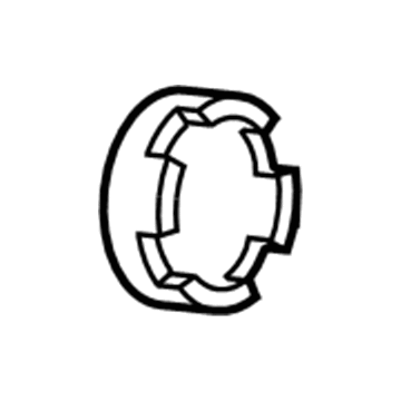GM 15769308 Lock Cover Retainer
