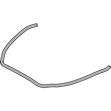 GM 23438151 Front Weatherstrip