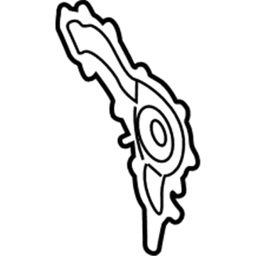 Mopar 68087340AA Gasket-Water Pump