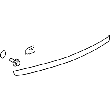 GM 95389392 Lower Molding