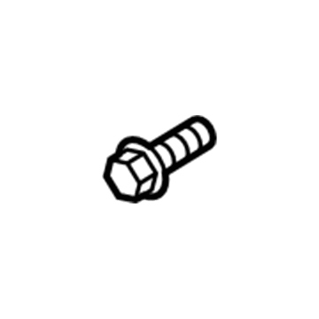 GM 55575099 Oil Inlet Tube Bolt