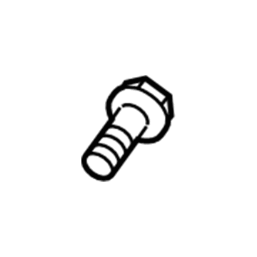 Ford -W706897-S900 Door Check Bolt