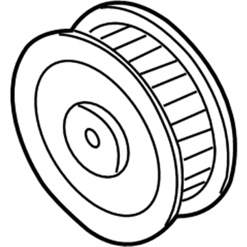 GM 12555244 Idler Pulley
