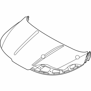 Kia 66400R0040 PANEL ASSY-HOOD