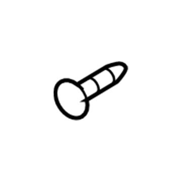 GM 94501688 Striker Screw
