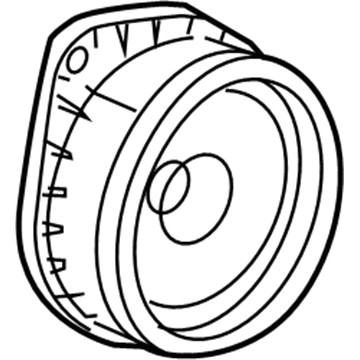 GM 15911768 Rear Door Speaker