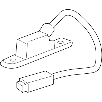 GM 20807069 License Lamp