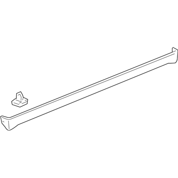 GM 19120059 Rocker Molding