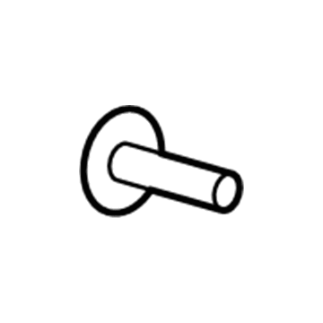 GM 11611883 Tail Lamp Nut