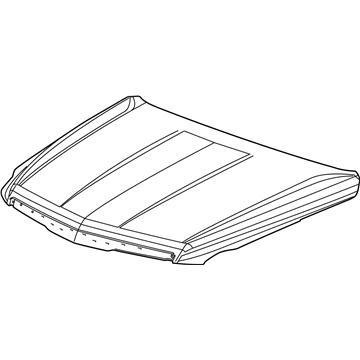 GM 84348416 HOOD ASM-.