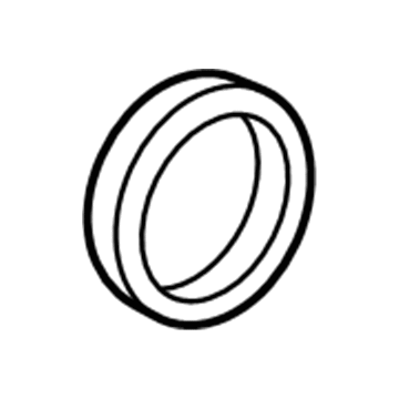 BMW 11-65-7-625-293 Gasket Ring