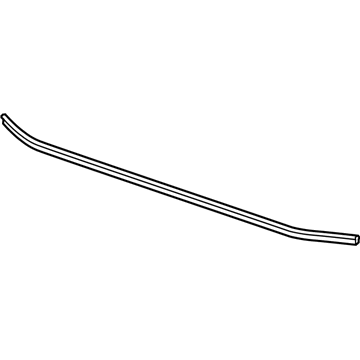 GM 13248784 Rear Weatherstrip