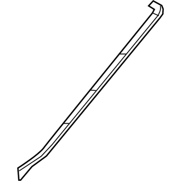GM 13369100 Side Molding