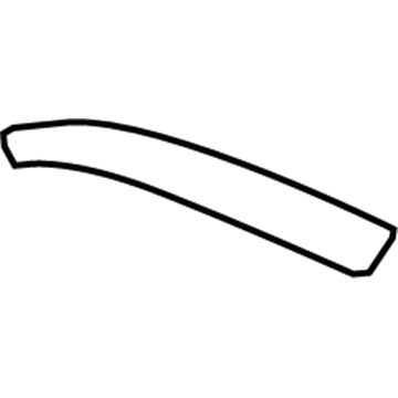 GM 96475291 Trim Molding