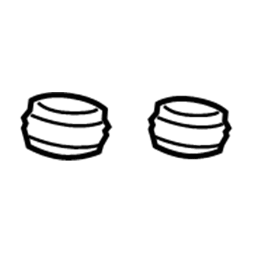 GM 13286448 Reservoir Grommet