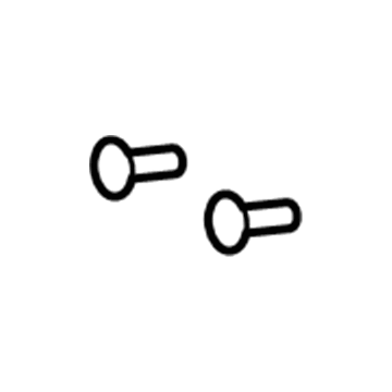GM 92139099 License Bracket Bolt