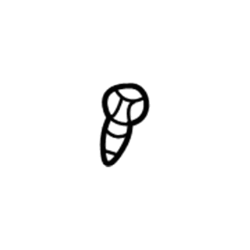 GM 14060161 Fuel Tank Bolt