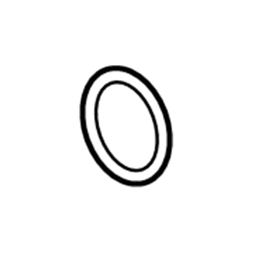 GM 12584040 Water Outlet Seal