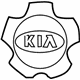 Kia 529602K850