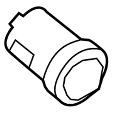 Ford 1L3Z-11582-A Cylinder & Keys