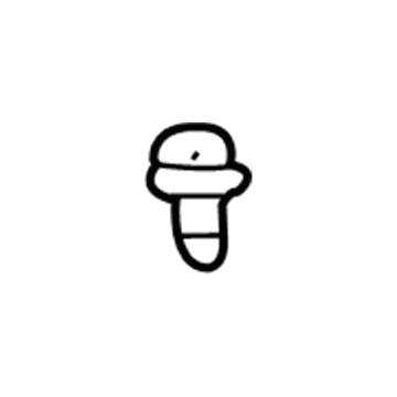 Chevrolet 10070107 Bleeder Valve