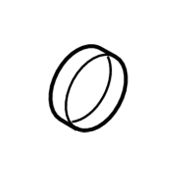 Ford DV6Z-4222-A Side Bearings