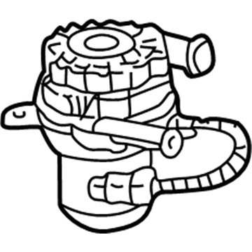 Chevrolet 12572176 A.I.R. Pump