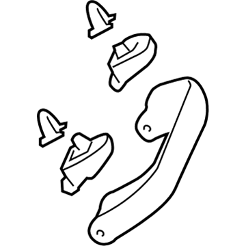 Mopar 1SW55HDAAE Handle-Grab